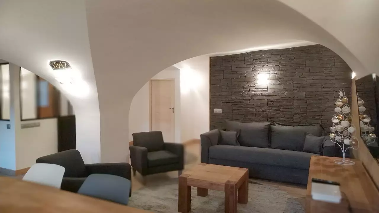 Rare and authentic vaulted-ceilings apartment